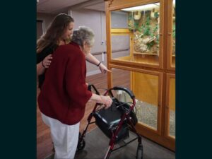 A resident looks at the indoor bird aviary